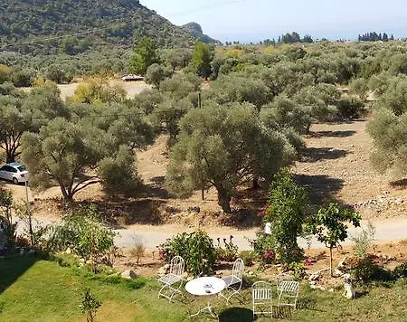 Golge * דטקה
